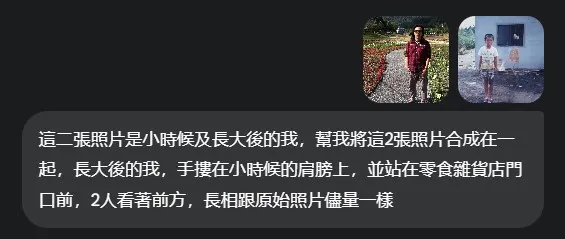 傳輸的照片及提示詞