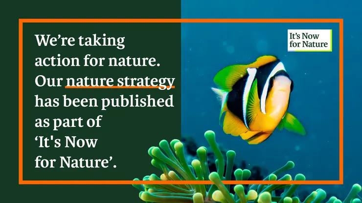 圖片來源: It's Now for Nature