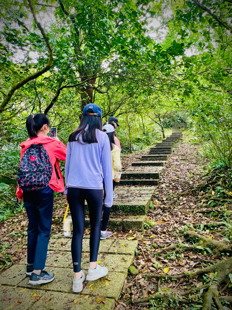 好走又乾淨的石階步道