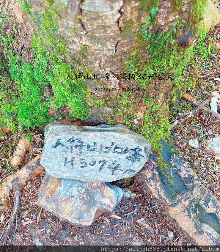 【閂山鈴鳴。兩日50公里百岳行】海拔3272公尺 鈴鳴山-