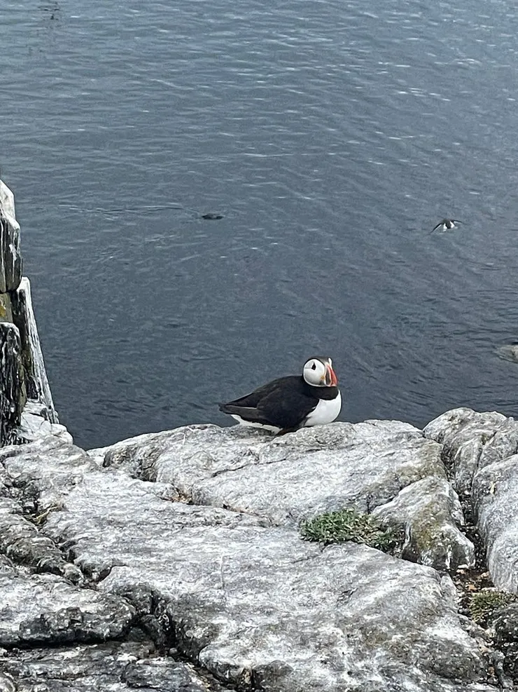 iphone12拍攝成果