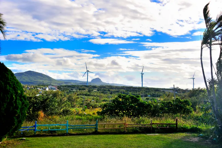 【綠光透窗長桌早餐或茶話或視訊 有人但餘一身閒有人事業更精進！民宿落地窗外風景。】