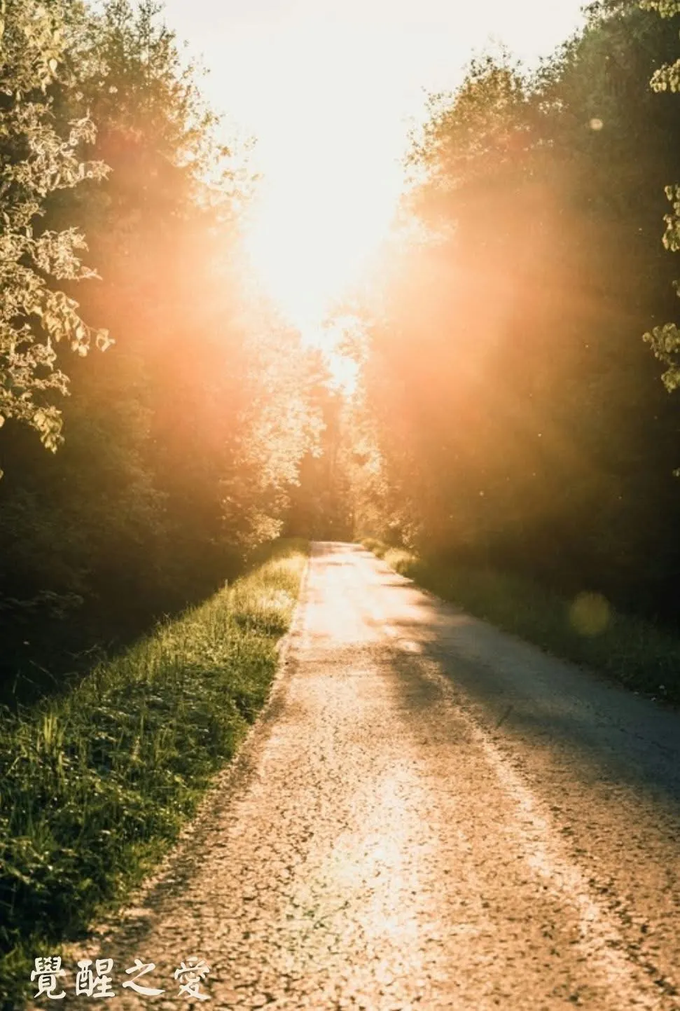 振心之語｜被看見，是療癒的開始