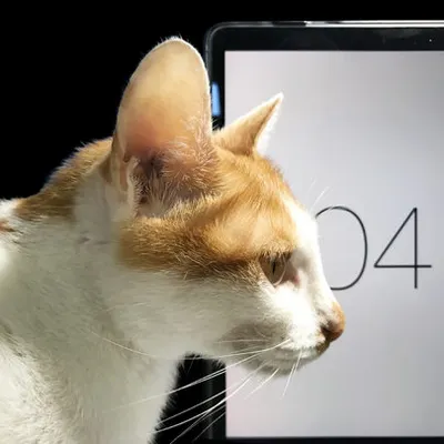 我是通靈屍的沙龍