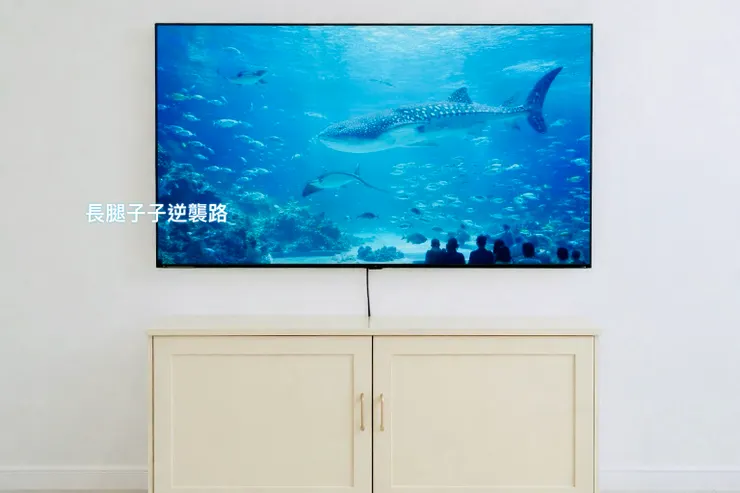 你們自己看看海洋世界，美翻了💙