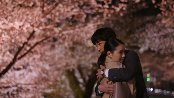 絕美的夜櫻場景是實地拍攝,絕非後期特效