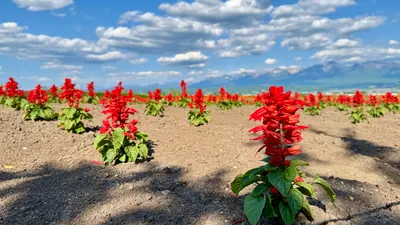 在天氣不太好的一天出發