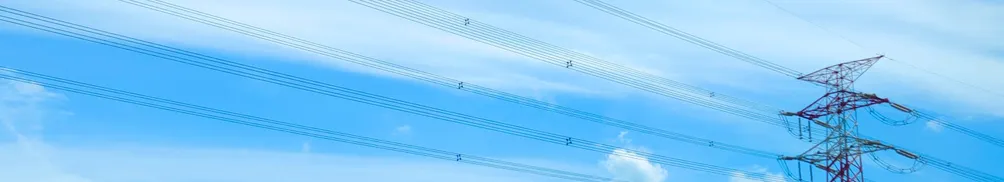 無腦老嫗自習室