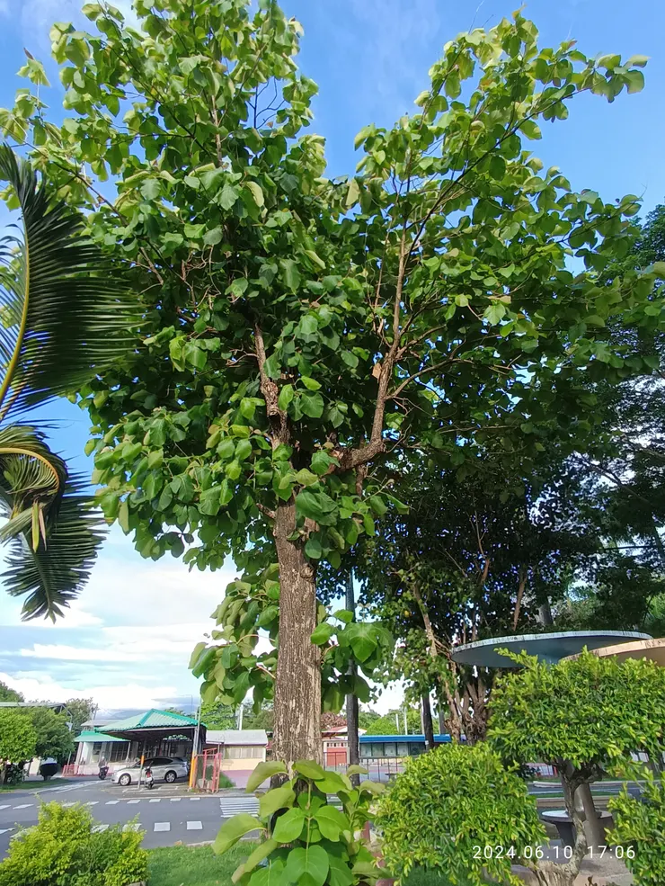 南州溪北國小，自拍攝