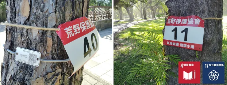 標設青公內的不同樹種,藉以計算不同樹種的固碳能力