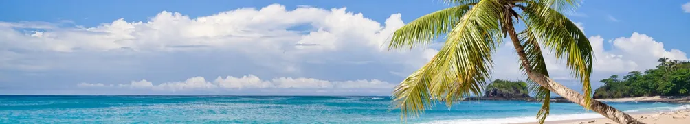 棉花不是糖的沙龍