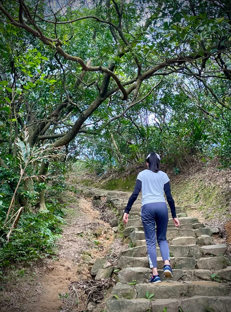 舊步道。其實我喜歡比較有原始天然感的舊石階步道，可惜太過殘缺斑駁，可能容易踩不穩有安全疑慮，只好換新式混泥土石階。