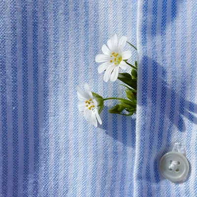 還亮著的一點點