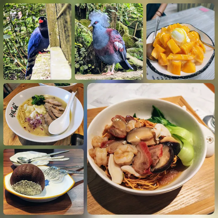 鳳凰谷 竹山吃冰 破守離 樓下咖啡 點八食