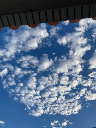 雲