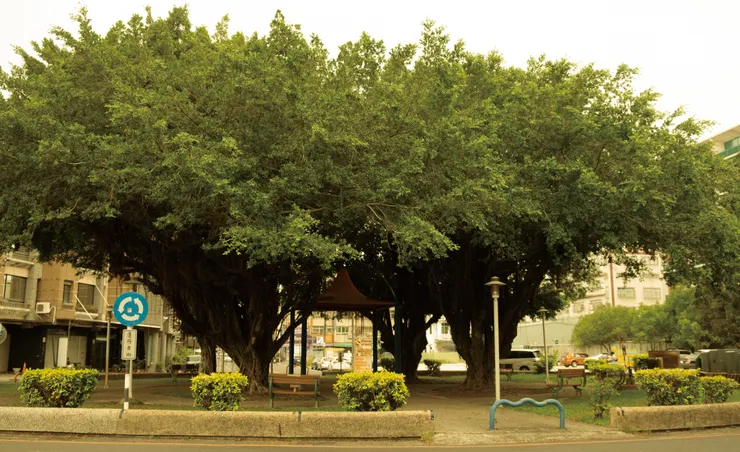 屏東市圓環。／影像提供：黃曦