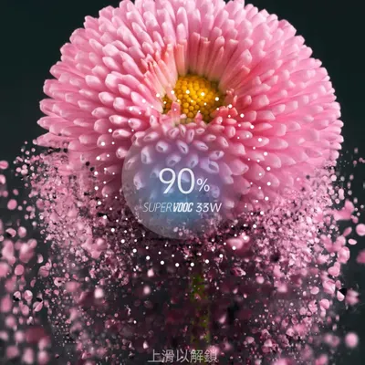 夢想成“珍”的沙龍