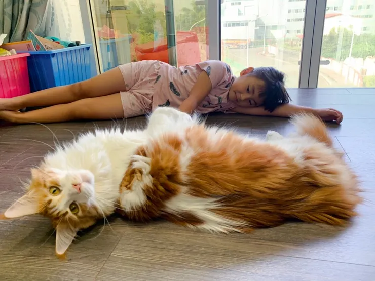 圖說:錯誤的環境清潔方式,帶給孩子的風險比寵物更大。打造無香無毒的居家環境,讓孩子與毛孩一起安心成長。(資料來源:臭味滾)