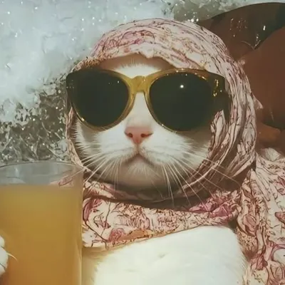 瑪莉珍的mermer的沙龍