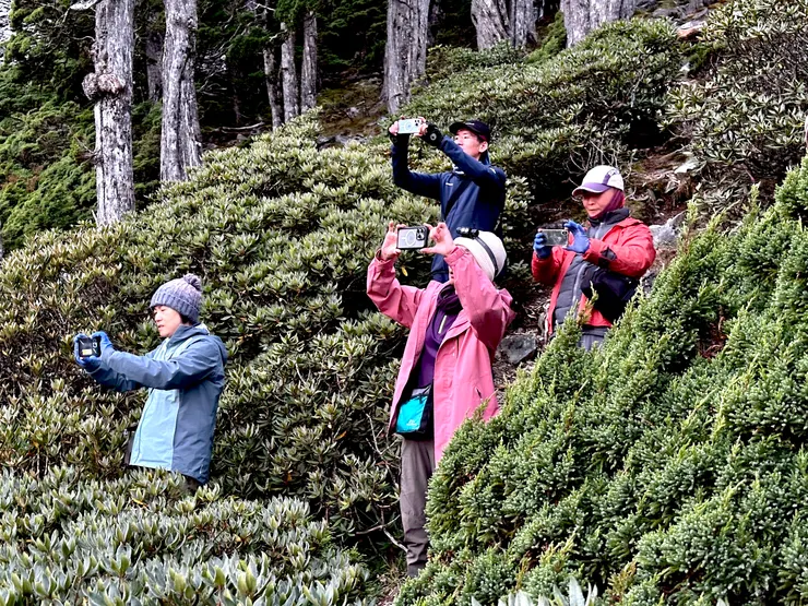 抓住這神奇美景的一刻