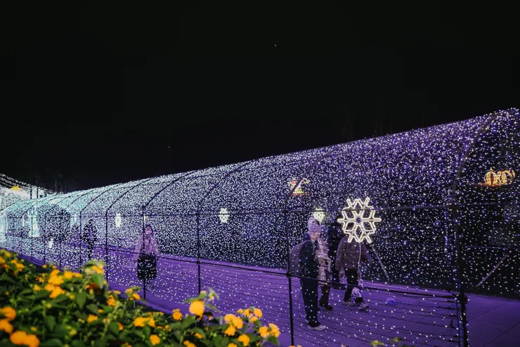 星海隧道(位置:中央公園捷運站出口兩側)