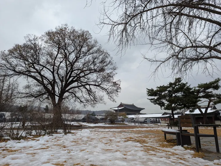 “I came all this way.”