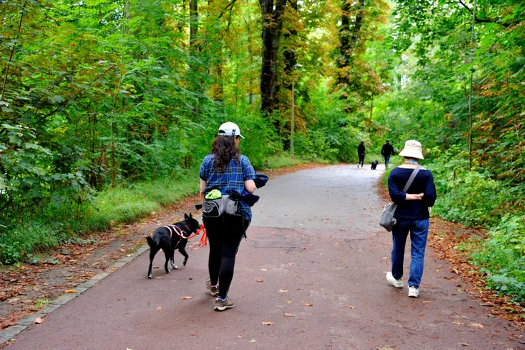 【一前一後，兩對蹓狗人。在廣濶的草地大可放開牽繩，但在步道可不行。】