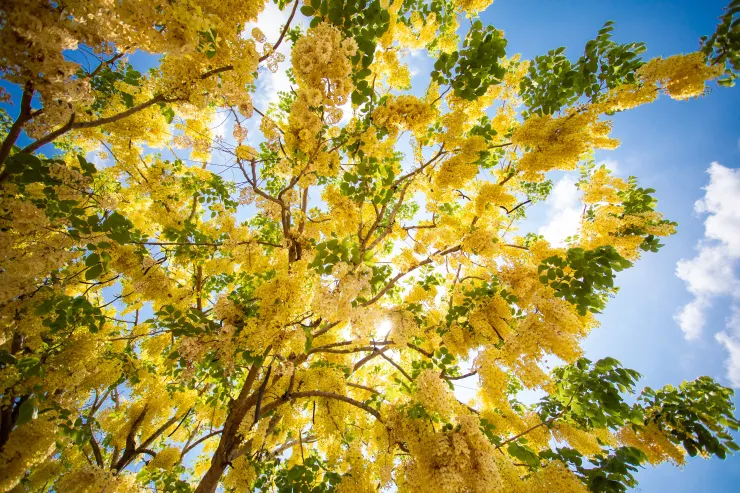 看懂世界的五大隱形規則-圖片來源：Pixabay