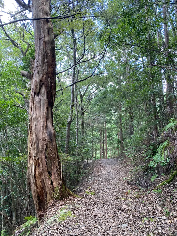 吃飽之後再前進！（這天的路大部分都是長這樣很好走）