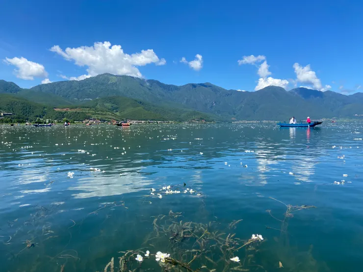 一艘豬槽船，滿湖波光粼粼的花影。旅程的驚喜，總是在不經意間悄然綻放。