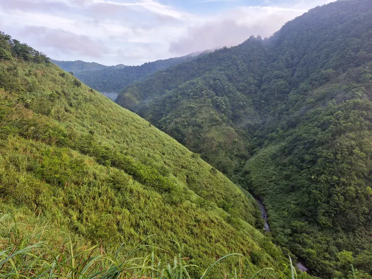 太和山谷蜿蜒的坪溪