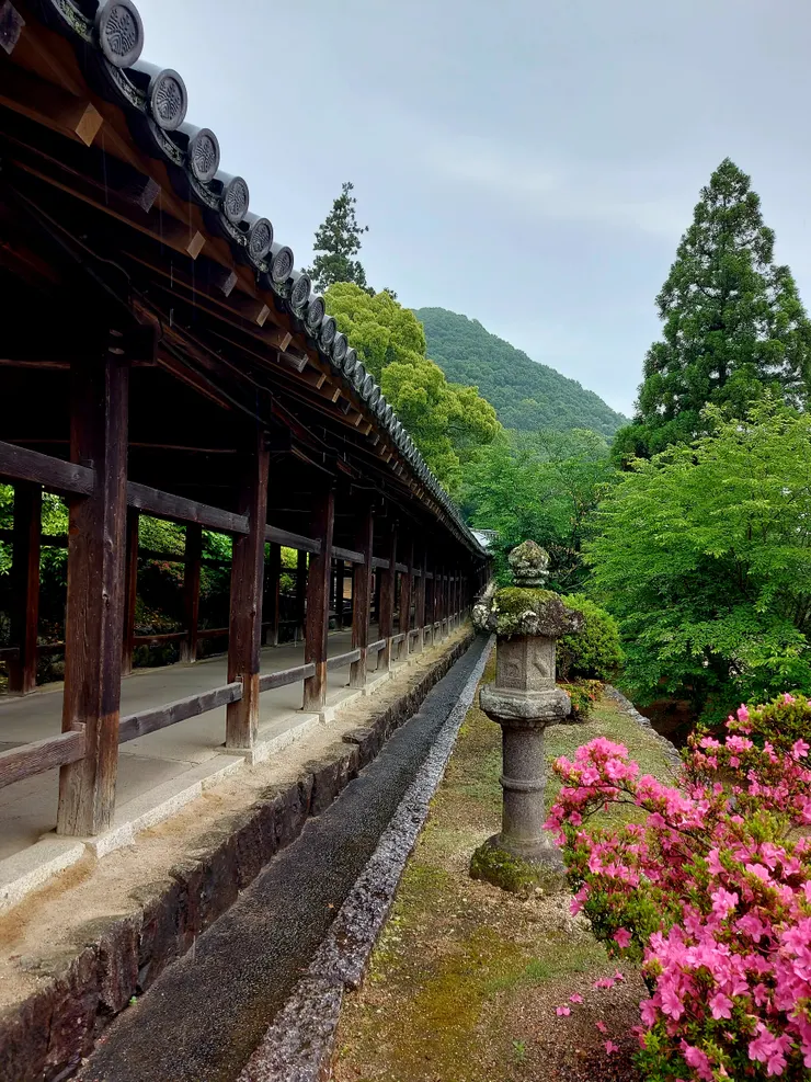 迴廊兩旁可欣賞四季花卉