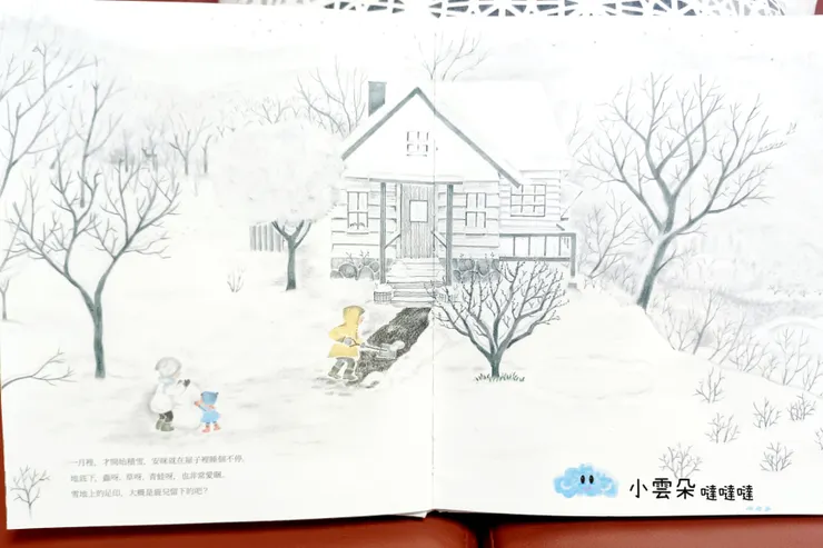 一月，白雪皚皚的景象。