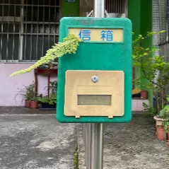 森林小徑的沙龍