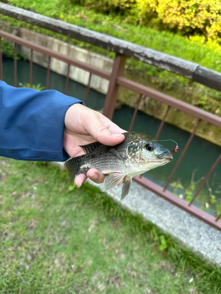 2025/11/16 人生第一次釣魚