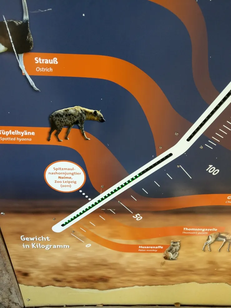 我跟豺狼差不多