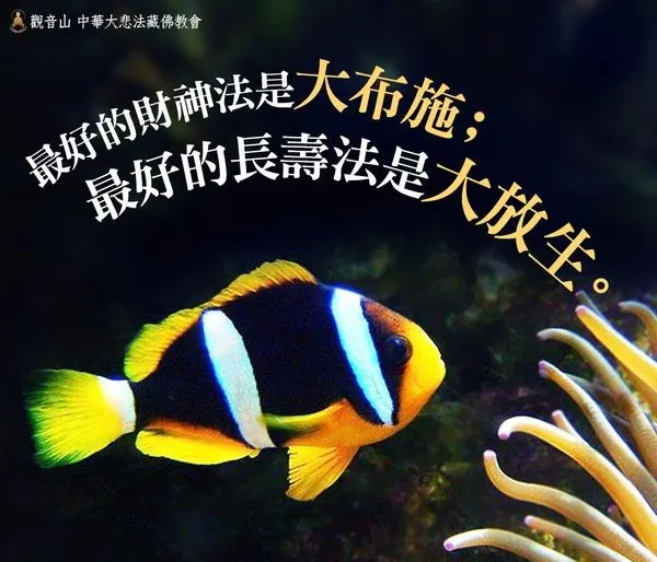 蓮池大師云：「疾病之由，多從殺生中來，故偏重放生也。」