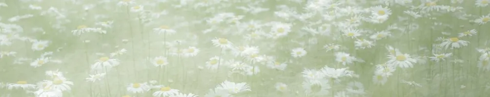 Chloe Yang的香水會客室