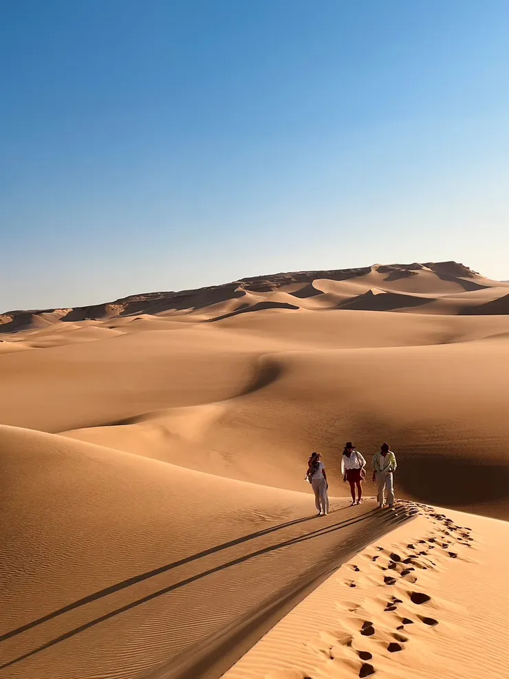 沙丘形成了綿延無盡頭的廣闊沙海