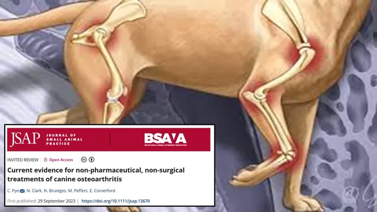 參考文獻: 2023 JSAP Current evidence for non-pharmaceutical, non-surgical treatments of canine osteoarthritis