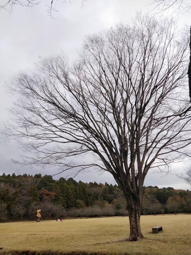 遠方可看到有人在藝術作品附近野餐