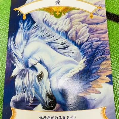 IG｜錢可兒在小寒遇見夏天