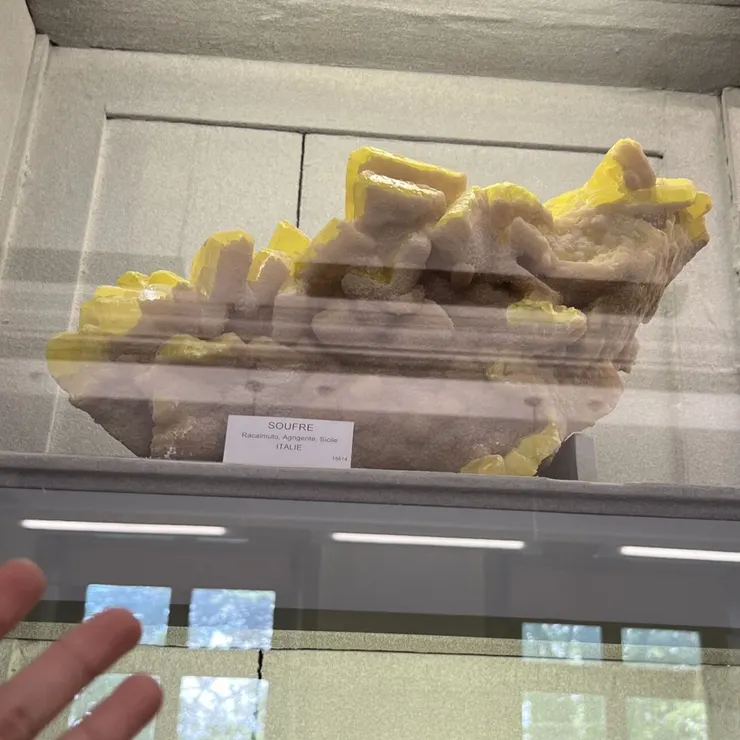 西西里的自然硫共生霰石，非常巨大。拍攝於法國礦物博物館。
