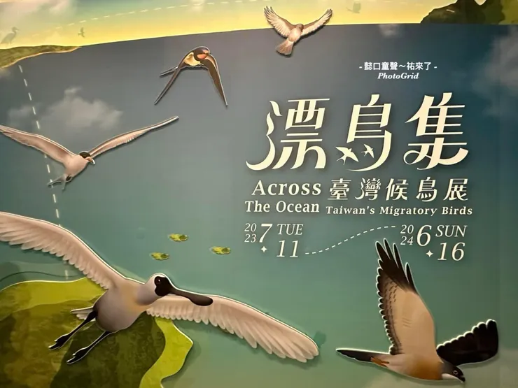 2023全臺首檔以候鳥為題的展覽 「漂鳥集」。