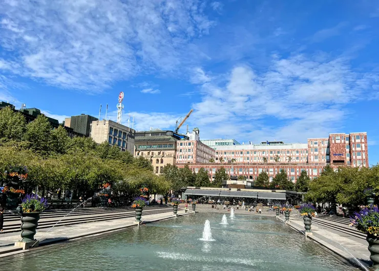 水池兩旁種了櫻花樹