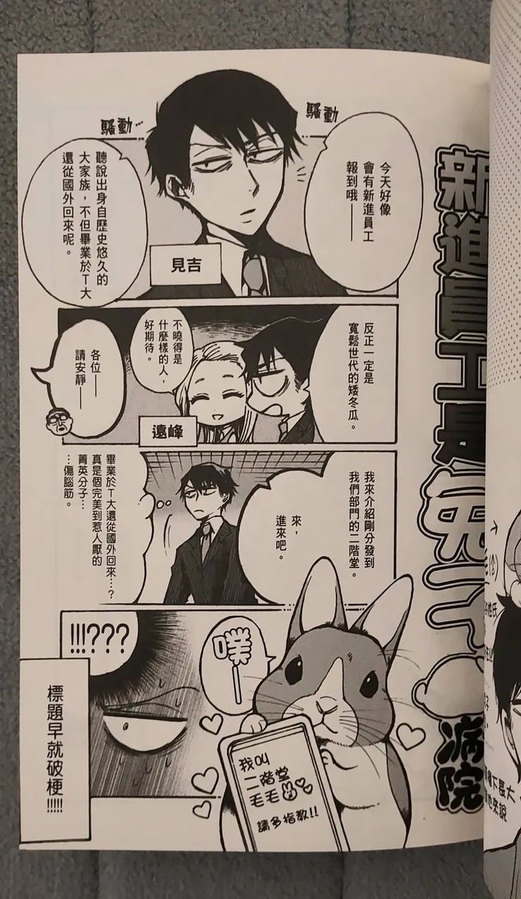 新進員工是兔子