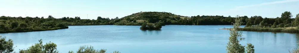 隨遇而安的沙龍