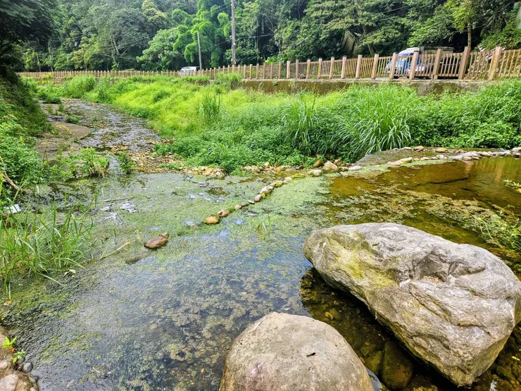 十八份坑溪上游(拍攝時間：2025/6/26)