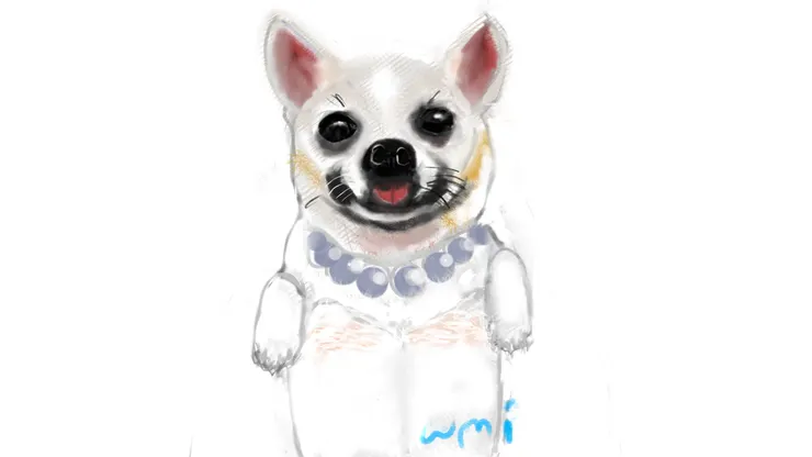 我的最愛 吳貝妹