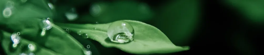 青木原的單斜背溫室